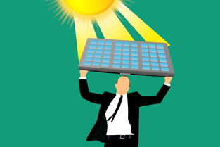 清币最新行情解析当前趋势与操作策略