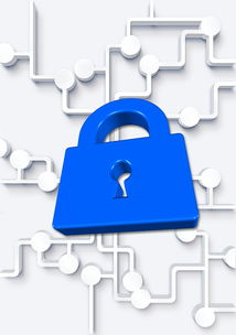 区块链安全性深度解析核心机制与常见风险防护指南