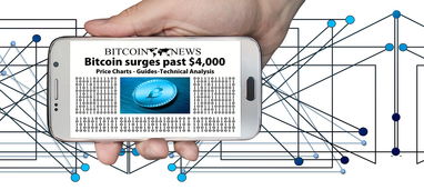 冷钱包hd全解析如何安全存储加密货币资产