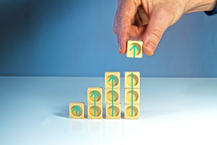 欧一区块链APP执行案件全解析：资金追讨与法律维权指南