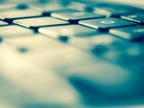 fist币行情软件选择指南与实时看盘技巧