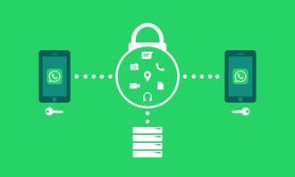 硬件加密存储首选：IT冷钱包深度解析与安全使用指南