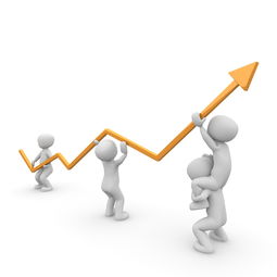 IOTA币近期行情走势与未来发展前景深度解析 IOTA币近期行情走势与未来发展前景深度解析