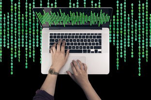 冷钱包Zero选购与使用全攻略数字资产安全存储指南