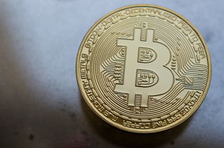 二虎币最新行情分析与未来走势预测