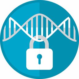 AI冷钱包全面解析安全机制与选购指南