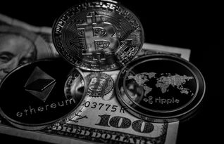 比特币今日美元行情最新解析，走势图表与市场动态观察
