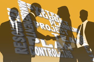 区块链挖矿新项目查询全攻略新手避坑与高效筛选技巧