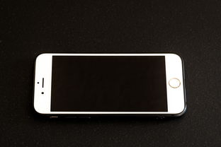 iPhone12支持数字钱包吗？一文读懂全适配细节
