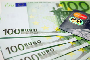 柴犬币SHIB现货价格实时行情与市场趋势解析