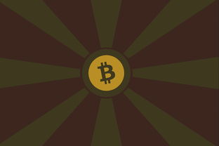 区块链数字货币交易平台APP全面解析与选择指南