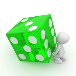 如何查询区块链数据全指南新手到进阶实用教程