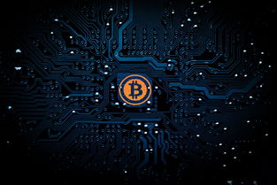 比特币的三种核心类型，一文理清BTC、BCH与BSV的差异