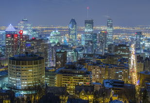 回望2021，四大主流币的高光时刻与市场逻辑