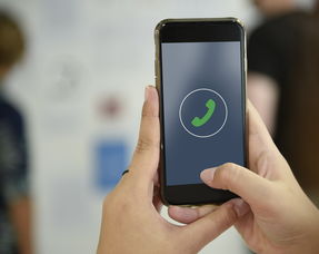 数字人民币钱包app下载手机版官方指南，轻松开启数字支付新体验