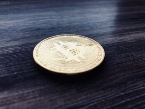 主流币哪里买与欧易及其他加密货币的区别解析