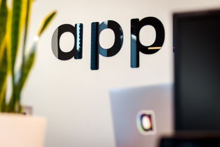 荷兰欧一区块链APP小镇开启数字创新新纪元