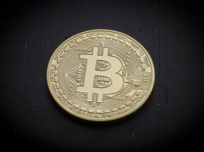 Bitcoin冷钱包与热钱包的区别及选择指南