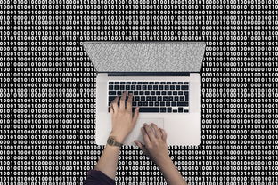 国际数字钱包PLUS需要交费用吗？一文理清收费真相与使用攻略