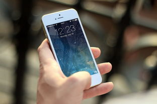 数字钱包app下载指南，安卓版与苹果版官方下载全解析