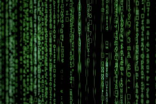 区块链密文，筑牢Web3信任生态的加密防线