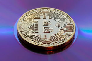 需要明确的是，比特币等虚拟货币相关业务活动属于非法金融活动，我国明确禁止虚拟货币交易和相关金融服务，因此对于涉及比特币的软件定制服务，我们不能按照你的要求进行创作
