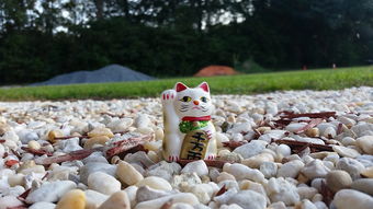 股市行情与人民币汇率，双向联动下的市场动态与投资指引