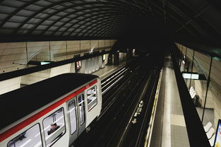 在北京区块链赛道，佛系是另一种长期主义
