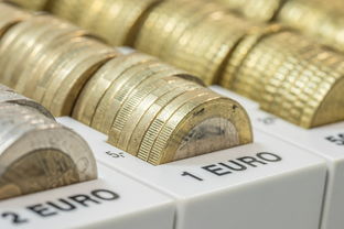 生肖币为何分两种？普通与贵金属生肖纪念币全解析
