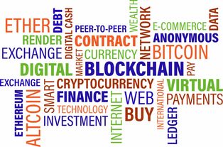 2024主流数字货币全盘点，一文看懂市场核心币种