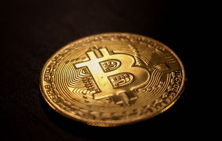 区块链挖矿APP下载换实物黄金