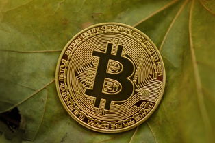 祝寿币行情分析：市场价格走势与收藏投资全解析