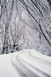 独钓寒江雪，区块链寒冬里的坚守者