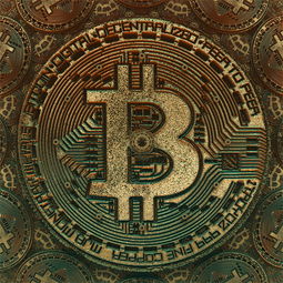 比特币，是货币还是投机品？一场跨越十余年的定义之争