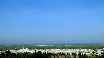天体币行情走势分析：最新市场动态与投资风险全解读