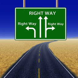 新客区块链是什么？一文看懂核心功能、应用场景与发展前景