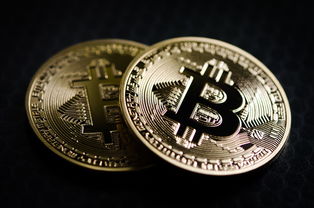 比特币是主流货币吗从机构入场到日常支付看它的真实地位