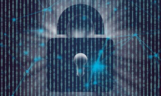 区块链数字信息平台核心优势与落地应用指南