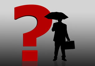 为什么在MyToken里搜索不到TP钱包 完整解决攻略