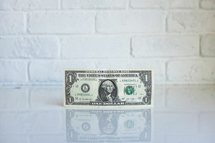 BVS属于主流币吗？一文理清加密货币主流币的判定标尺