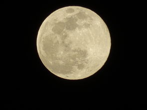 月亮鸟振翅，意欧oyi区块链数字货币的星河之舞
