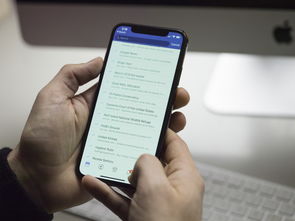 欧e钱包官方下载安装指南与使用全解析