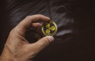 目前市场上最优质的加密货币有哪些值得入手