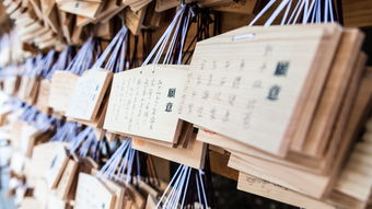 杭州云象欧逸（OYI）区块链实控人之谜，投资者该如何看清层层股权背后的真相？