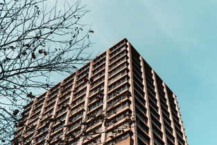 树图意欧oyi区块链建筑公司，以区块链技术赋能建筑行业数字化转型