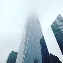 swftc是什么币种详解项目背景与核心功能分析