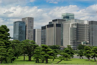 欧逸OYI，区块链时代高层建筑的数字化新范式